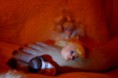 /album/barbie-story-/dsc-0067-ok-jpg/